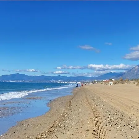 アパート Super2beachfront